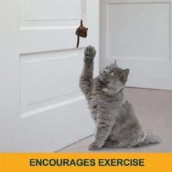 OurPets Batting Practice Interactive Cat Toy -Almo nature Sales 155007 PT2. AC SS1800 V1634833960