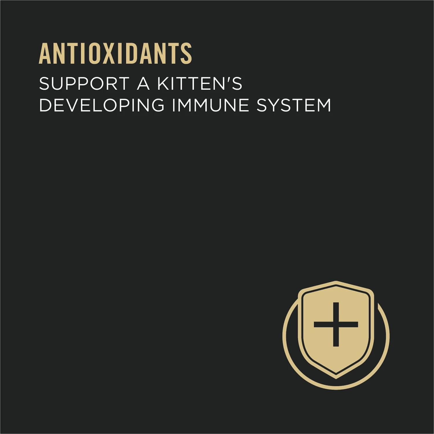 Purina Pro Plan Focus Kitten Favorites Variety Pack Canned Cat Food 8 Purina Pro Plan Focus Kitten Favorites Variety Pack Canned Cat Food - Image 6