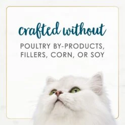 Fancy Feast Gourmet Naturals Tuna Recipe In Gravy Canned Cat Food -Almo nature Sales 155539 PT6. AC SS1800 V1677102451