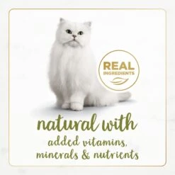 Fancy Feast Gourmet Naturals White Meat Chicken Recipe In Gravy Canned Cat Food -Almo nature Sales 155543 PT3. AC SS1800 V1677102859
