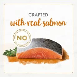 Fancy Feast Gourmet Naturals Wild Alaskan Salmon Recipe Pate Canned Cat Food, 3-oz, Case Of 12 15 Fancy Feast Gourmet Naturals Wild Alaskan Salmon Recipe Pate Canned Cat Food, 3-oz, Case Of 12 -Almo nature Sales 155549 PT4. AC SS1800 V1677103537