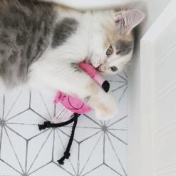 Mad Cat Flingin' Flamingo Catnip & Silvervine Cat Toy 11 Mad Cat Flingin' Flamingo Catnip & Silvervine Cat Toy -Almo nature Sales 157304 PT4. AC SS1800 V1637610995