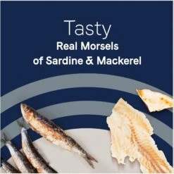 CANIDAE Adore Grain-Free Sardine & Mackerel In Broth Canned Cat Food 14 CANIDAE Adore Grain-Free Sardine & Mackerel In Broth Canned Cat Food -Almo nature Sales 157485 PT4. AC SS1800 V1673282106