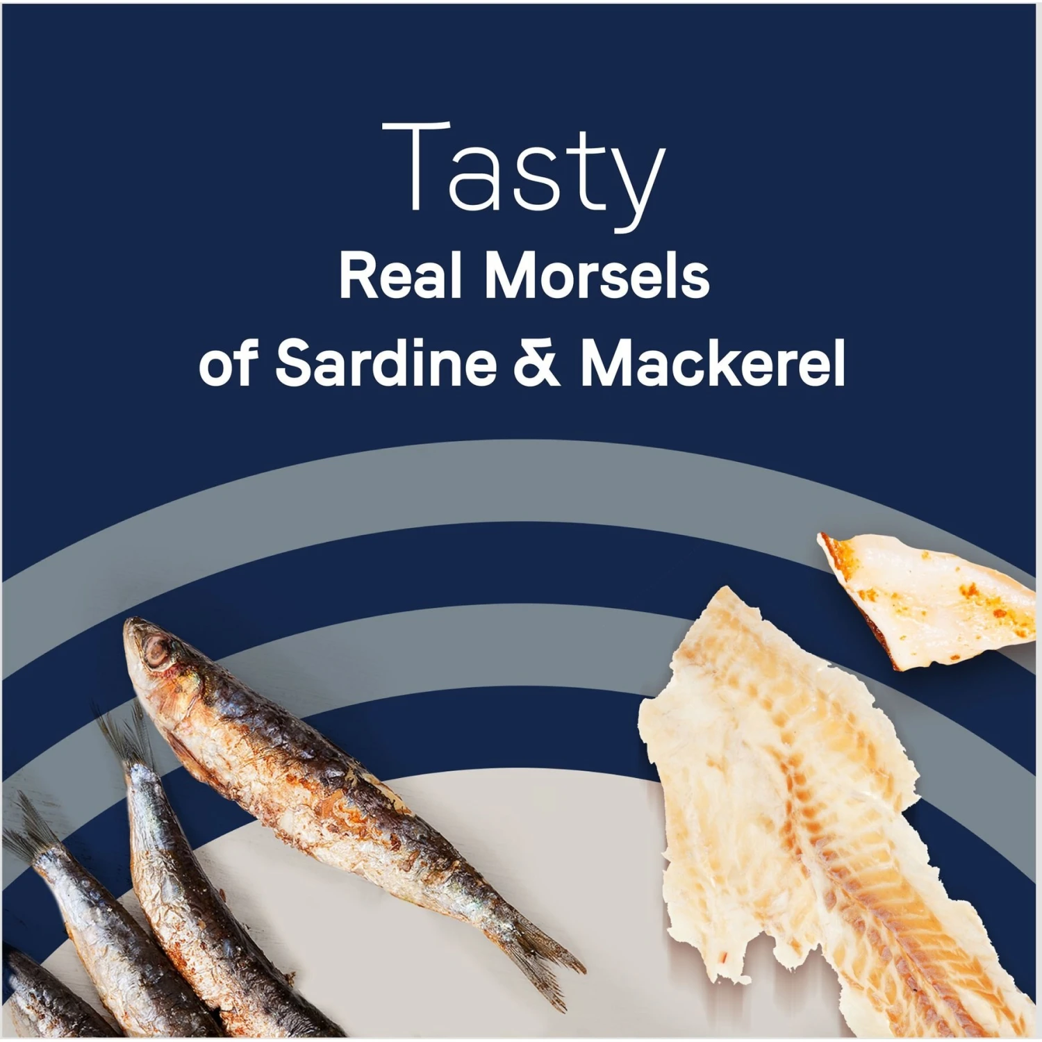 CANIDAE Adore Grain-Free Sardine & Mackerel In Broth Canned Cat Food 7 CANIDAE Adore Grain-Free Sardine & Mackerel In Broth Canned Cat Food - Image 5