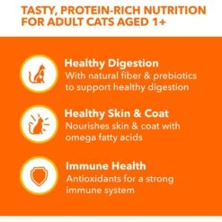 Iams Perfect Portions Indoor Tuna & Salmon Recipe Grain-Free Cuts In Gravy Variety Pack Adult Wet Cat Food Trays -Almo nature Sales 159241 PT3. AC SS1800 V1626816690