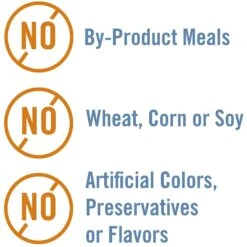 Chicken Soup For The Soul Kitten Chicken & Turkey Recipe Pate Canned Cat Food -Almo nature Sales 165135 PT5. AC SS1800 V1600389979