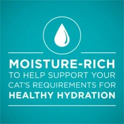 Purina ONE Grain-Free Natural Pate Healthy Kitten Chicken & Salmon Recipe Wet Kitten Food -Almo nature Sales 166133 PT2. AC SS1800 V1658226881