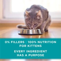 Purina ONE Grain-Free Natural Pate Healthy Kitten Chicken & Salmon Recipe Wet Kitten Food -Almo nature Sales 166133 PT6. AC SS1800 V1658190301