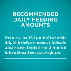 Purina ONE Grain-Free Natural Pate Healthy Kitten Chicken & Salmon Recipe Wet Kitten Food -Almo nature Sales 166133 PT8. AC SS1800 V1566932821