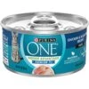 Purina ONE Indoor Advantage 7+ Chicken & Ocean Fish Recipe Pate Wet Cat Food -Almo nature Sales 166135 MAIN. AC SS1800 V1636671719