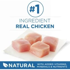 Purina ONE Indoor Advantage 7+ Chicken & Ocean Fish Recipe Pate Wet Cat Food -Almo nature Sales 166135 PT2. AC SS1800 V1636676190