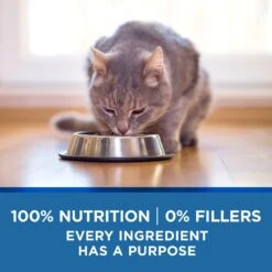 Purina ONE Indoor Advantage 7+ Chicken & Ocean Fish Recipe Pate Wet Cat Food -Almo nature Sales 166135 PT5. AC SS1800 V1636674714