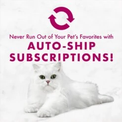 Fancy Feast Savory Centers Variety Pack Canned Cat Food 19 Fancy Feast Savory Centers Variety Pack Canned Cat Food -Almo nature Sales 169569 PT8. AC SS1800 V1675450086