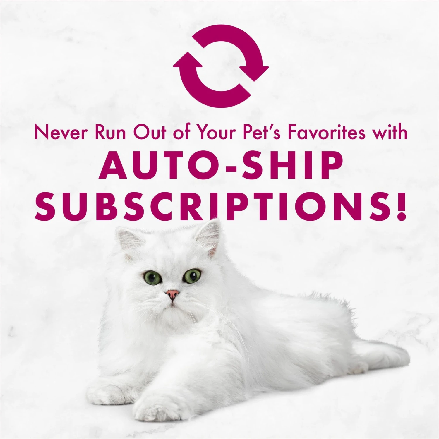 Fancy Feast Savory Centers Variety Pack Canned Cat Food 11 Fancy Feast Savory Centers Variety Pack Canned Cat Food - Image 9