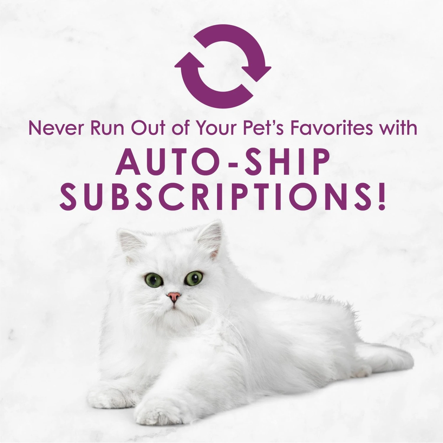 Fancy Feast Savory Centers Beef Canned Cat Food 10 Fancy Feast Savory Centers Beef Canned Cat Food - Image 8