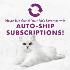 Fancy Feast Savory Centers Beef Canned Cat Food 19 Fancy Feast Savory Centers Beef Canned Cat Food -Almo nature Sales 169577 PT8. AC SS1800 V1560794566