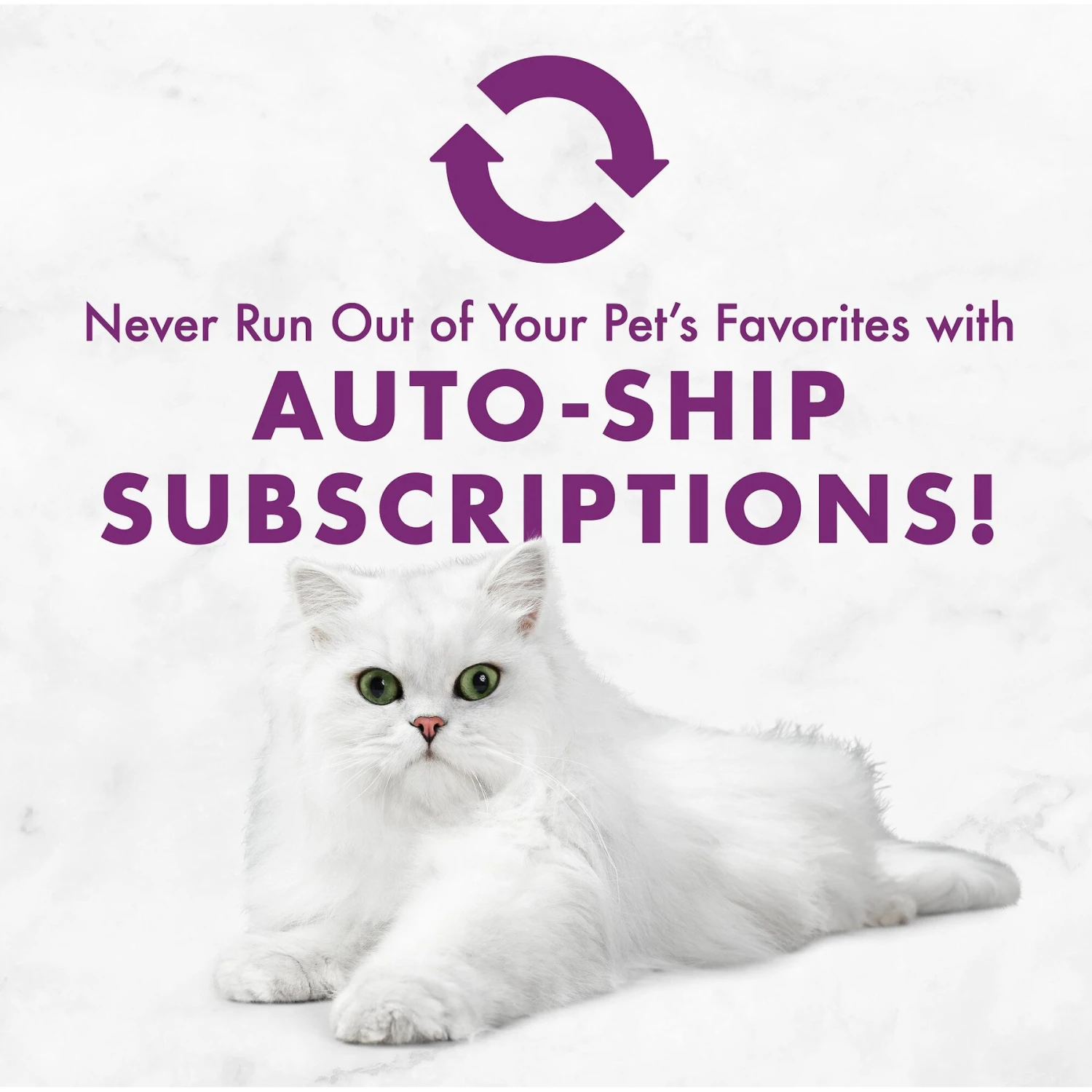 Fancy Feast Savory Centers Beef Canned Cat Food 11 Fancy Feast Savory Centers Beef Canned Cat Food - Image 9