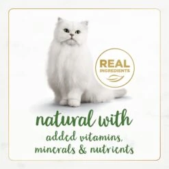 Fancy Feast Gourmet Naturals Pate Variety Pack Canned Cat Food, 3-oz, Case Of 12 -Almo nature Sales 172632 PT3. AC SS1800 V1677102918