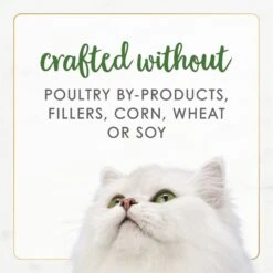 Fancy Feast Gourmet Naturals Pate Variety Pack Canned Cat Food, 3-oz, Case Of 12 -Almo nature Sales 172632 PT7. AC SS1800 V1677103571