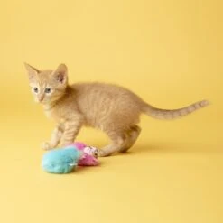 Fat Cat Classic Fluff Bunnies Cat Toy, Color Varies -Almo nature Sales 174931 PT2. AC SS1800 V1602304880