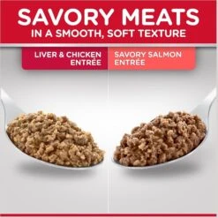 Hill's Science Diet Kitten Liver & Chicken & Savory Salmon Variety Pack Canned Cat Food -Almo nature Sales 181111 PT2. AC SS1800 V1598151983
