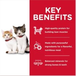 Hill's Science Diet Kitten Liver & Chicken & Savory Salmon Variety Pack Canned Cat Food -Almo nature Sales 181111 PT4. AC SS1800 V1598141774