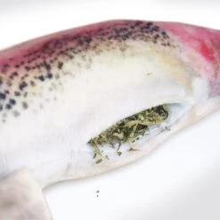 Meowijuana Refillable Get Smoked Catnip Fish Cat Toy -Almo nature Sales 181282 PT4. AC SS1800 V1631681797