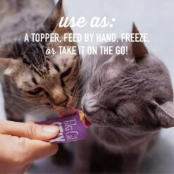 Tiki Cat Stix Duck In Creamy Gravy Grain-Free Wet Cat Treat, 3-oz Pouch, Pack Of 6 16 Tiki Cat Stix Duck In Creamy Gravy Grain-Free Wet Cat Treat, 3-oz Pouch, Pack Of 6 -Almo nature Sales 186307 PT5. AC SS1800 V1702665645