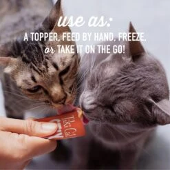 Tiki Cat Stix Salmon In Gravy Grain-Free Wet Cat Treat -Almo nature Sales 186309 PT5. AC SS1800 V1702665640