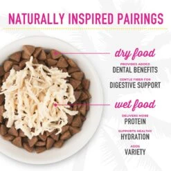 Tiki Cat Stix Salmon In Gravy Grain-Free Wet Cat Treat -Almo nature Sales 186309 PT7. AC SS1800 V1702665640