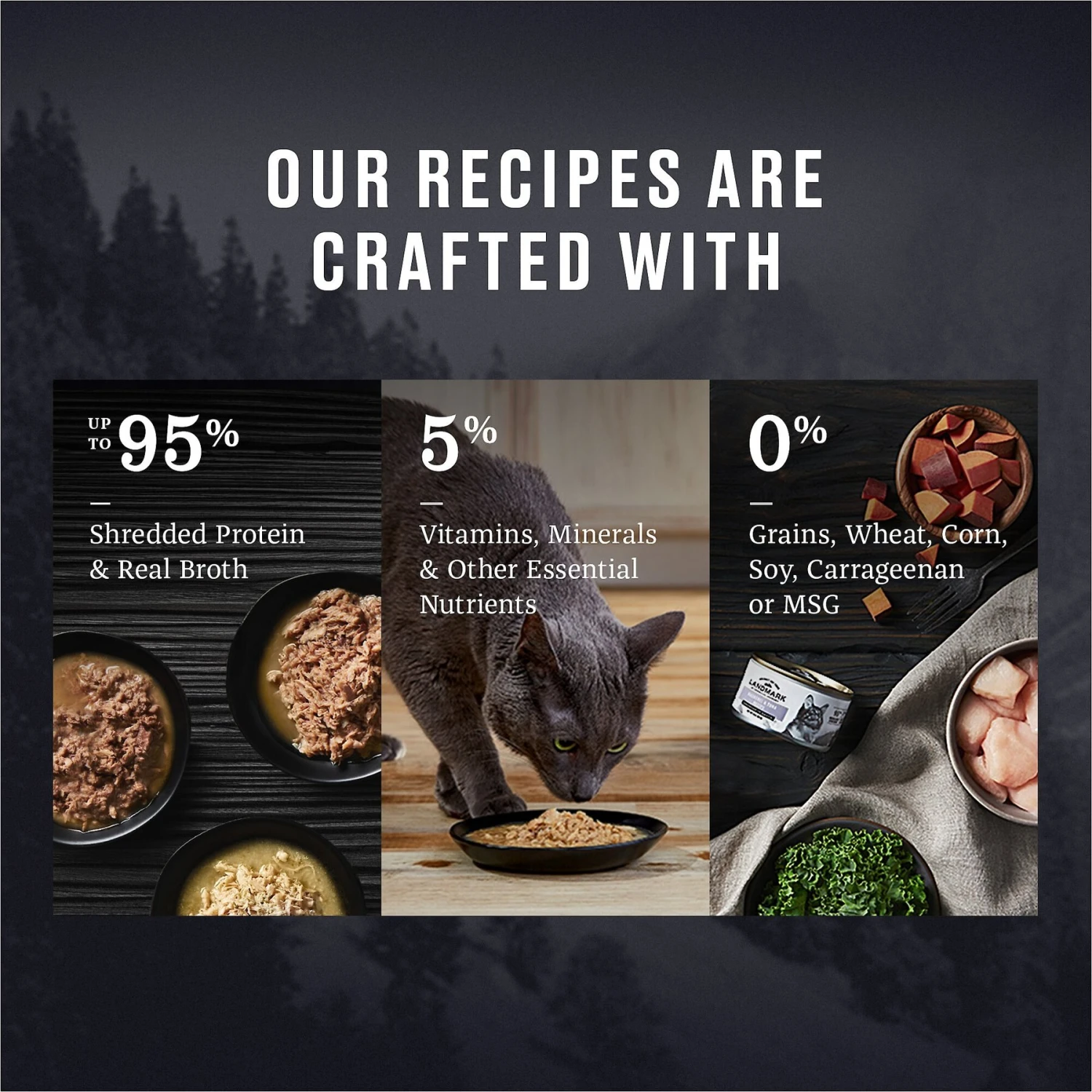 American Journey Landmark Salmon Recipe In Broth Grain-Free Canned Cat Food, 3-oz, Case Of 12 6 American Journey Landmark Salmon Recipe In Broth Grain-Free Canned Cat Food, 3-oz, Case Of 12 - Image 4