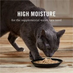 American Journey Landmark Salmon Recipe In Broth Grain-Free Canned Cat Food, 3-oz, Case Of 12 16 American Journey Landmark Salmon Recipe In Broth Grain-Free Canned Cat Food, 3-oz, Case Of 12 -Almo nature Sales 193500 PT5. AC SS1800 V1582124368