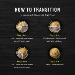 American Journey Landmark Salmon Recipe In Broth Grain-Free Canned Cat Food, 3-oz, Case Of 12 18 American Journey Landmark Salmon Recipe In Broth Grain-Free Canned Cat Food, 3-oz, Case Of 12 -Almo nature Sales 193500 PT7. AC SS1800 V1582124305