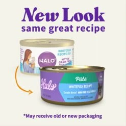 Halo Whitefish Recipe With Real Whole Whitefish Pate Grain-Free Wet Kitten Food -Almo nature Sales 194495 PT1. AC SS1800 V1682351602