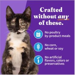 Halo Whitefish Recipe With Real Whole Whitefish Pate Grain-Free Wet Kitten Food -Almo nature Sales 194495 PT5. AC SS1800 V1682351701