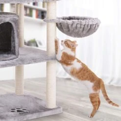 FEANDREA 55.1-in Faux Fleece Cat Tree & Condo -Almo nature Sales 205247 PT3. AC SS1800 V1648066331