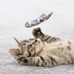 KONG Cat Active Curlz Cat Toy, Color Varies, 2 Count -Almo nature Sales 209636 PT2. AC SS1800 V1631775712