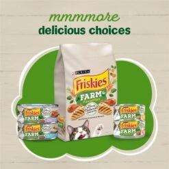 Friskies Farm Favorites Chicken & Carrots & Salmon & Spinach Pate Wet Cat Food Variety Pack, 5.5-oz Can, Case Of 24 15 Friskies Farm Favorites Chicken & Carrots & Salmon & Spinach Pate Wet Cat Food Variety Pack, 5.5-oz Can, Case Of 24 -Almo nature Sales 214337 PT4. AC SS1800 V1700160505