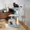 Frisco 38-in Cat Tree With Condo, Top Perch & Toy 2 Frisco 38-in Cat Tree With Condo, Top Perch & Toy -Almo nature Sales 214377 MAIN. AC SS1800 V1606832229