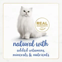 Fancy Feast Gourmet Naturals Natural Rainbow Trout Recipe In Gravy Canned Cat Food, 3-oz Can, Case Of 12 -Almo nature Sales 214801 PT3. AC SS1800 V1677103480
