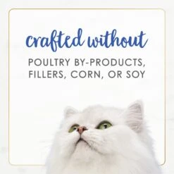 Fancy Feast Gourmet Naturals Natural Rainbow Trout Recipe In Gravy Canned Cat Food, 3-oz Can, Case Of 12 -Almo nature Sales 214801 PT6. AC SS1800 V1677102399