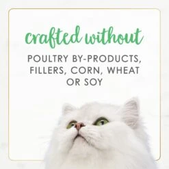 Fancy Feast Gourmet Naturals White Meat Chicken Recipe Grain-Free Pate Kitten Canned Cat Food, 3-oz Can, Case Of 12 17 Fancy Feast Gourmet Naturals White Meat Chicken Recipe Grain-Free Pate Kitten Canned Cat Food, 3-oz Can, Case Of 12 -Almo nature Sales 214807 PT6. AC SS1800 V1677102857