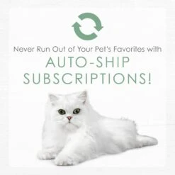 Fancy Feast Gourmet Naturals White Meat Chicken Recipe Grain-Free Pate Kitten Canned Cat Food, 3-oz Can, Case Of 12 19 Fancy Feast Gourmet Naturals White Meat Chicken Recipe Grain-Free Pate Kitten Canned Cat Food, 3-oz Can, Case Of 12 -Almo nature Sales 214807 pt8. AC SS1800 V1576853089