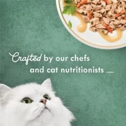 Fancy Feast Medleys Wild Alaskan Salmon Recipe With Garden Veggies In Sauce Canned Cat Food, 3-oz Can, Case Of 24 14 Fancy Feast Medleys Wild Alaskan Salmon Recipe With Garden Veggies In Sauce Canned Cat Food, 3-oz Can, Case Of 24 -Almo nature Sales 214813 PT3. AC SS1800 V1666043177