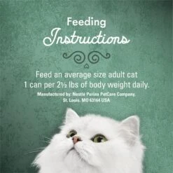 Fancy Feast Medleys Wild Alaskan Salmon Recipe With Garden Veggies In Sauce Canned Cat Food, 3-oz Can, Case Of 24 17 Fancy Feast Medleys Wild Alaskan Salmon Recipe With Garden Veggies In Sauce Canned Cat Food, 3-oz Can, Case Of 24 -Almo nature Sales 214813 PT6. AC SS1800 V1666043480