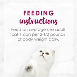 Fancy Feast Medleys Wild Alaskan Salmon Recipe With Garden Veggies In Sauce Canned Cat Food, 3-oz Can, Case Of 24 18 Fancy Feast Medleys Wild Alaskan Salmon Recipe With Garden Veggies In Sauce Canned Cat Food, 3-oz Can, Case Of 24 -Almo nature Sales 214813 pt7. AC SS1800 V1576853317
