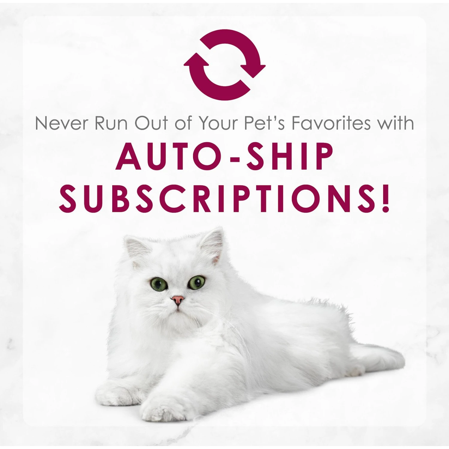 Fancy Feast Medleys Wild Alaskan Salmon Recipe With Garden Veggies In Sauce Canned Cat Food, 3-oz Can, Case Of 24 11 Fancy Feast Medleys Wild Alaskan Salmon Recipe With Garden Veggies In Sauce Canned Cat Food, 3-oz Can, Case Of 24 - Image 9