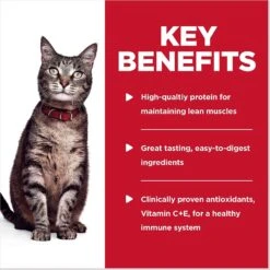 Hill's Science Diet Adult Turkey & Liver Casserole Recipe Cat Food, 2.8-oz Pouch, Case Of 24 15 Hill's Science Diet Adult Turkey & Liver Casserole Recipe Cat Food, 2.8-oz Pouch, Case Of 24 -Almo nature Sales 218069 PT4. AC SS1800 V1598144505