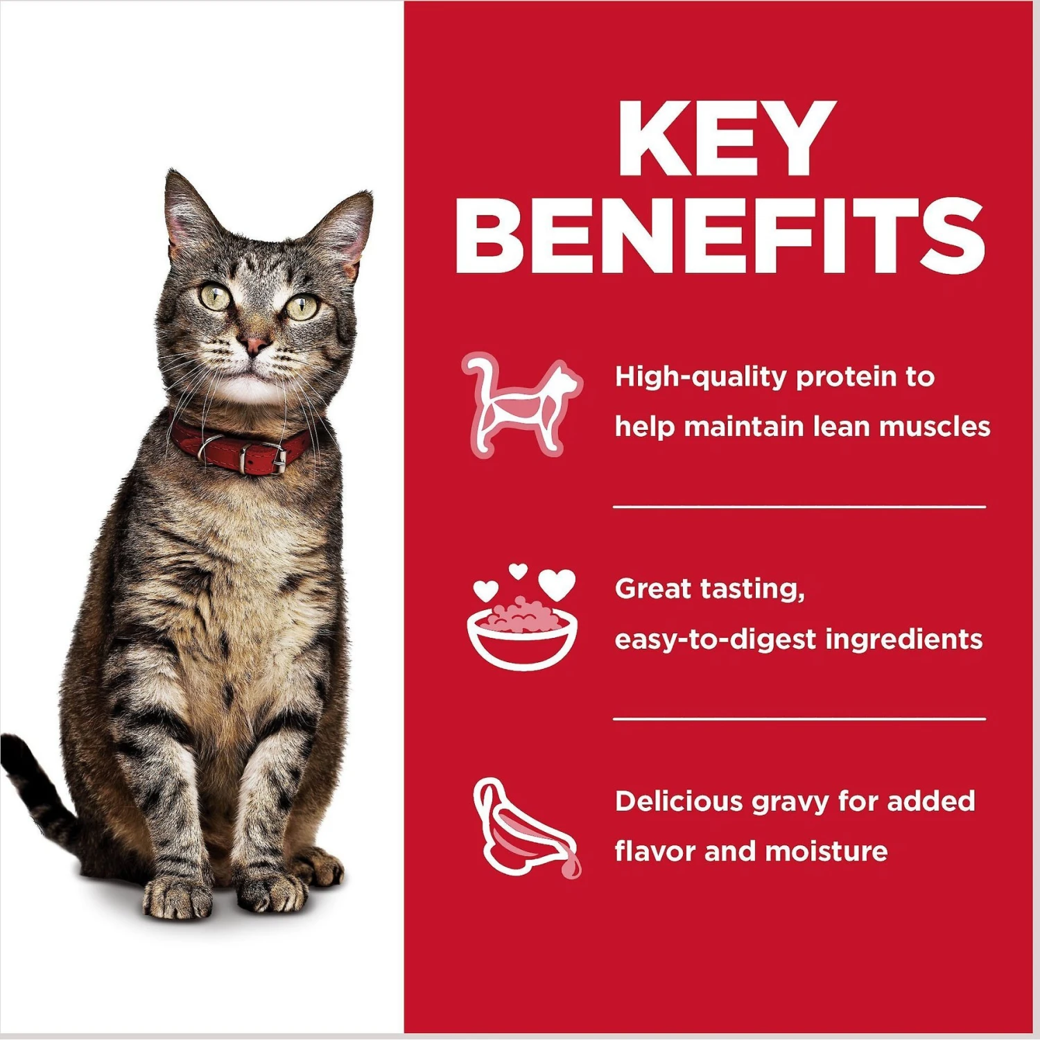 Hill's Science Diet Adult Tender Dinner Variety Pack Cat Food, 2.8-oz Pouch, Case Of 12 7 Hill's Science Diet Adult Tender Dinner Variety Pack Cat Food, 2.8-oz Pouch, Case Of 12 - Image 5