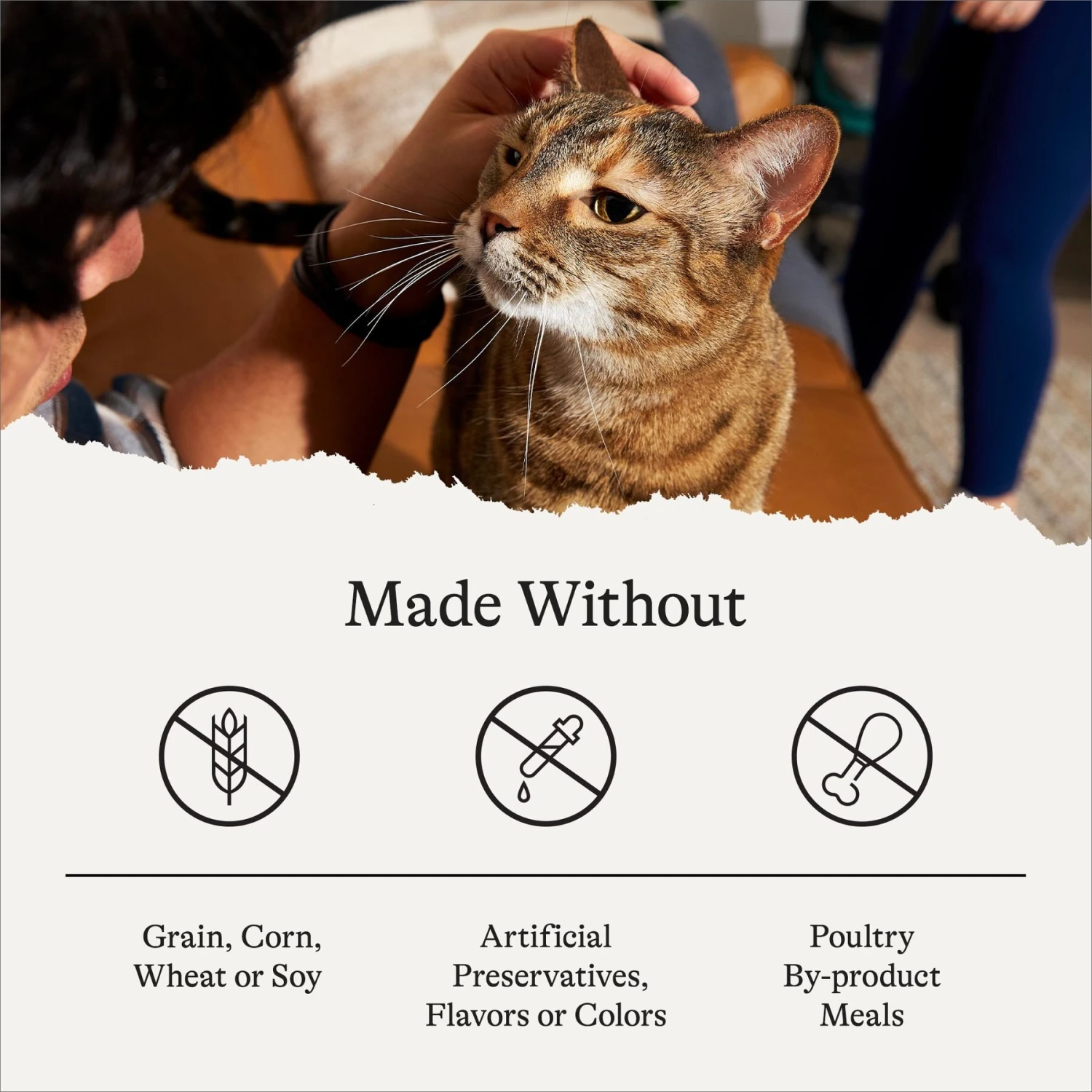 American Journey Minced Turkey Recipe In Gravy Grain-Free Canned Cat Food 10 American Journey Minced Turkey Recipe In Gravy Grain-Free Canned Cat Food - Image 8